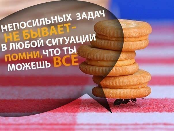 Непосильных задач не бывает