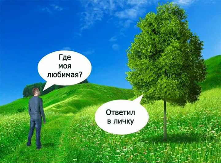 Я спросил у ясеня...