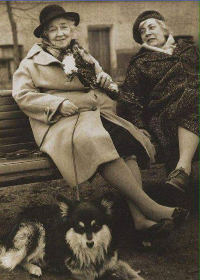 &quot;Бон-филе надо уметь выбирать&quot;