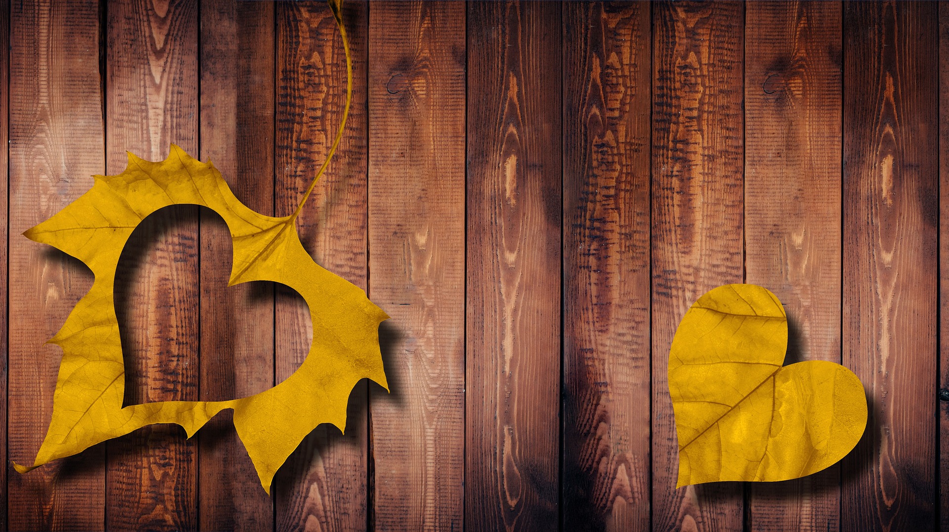 Ставка на любовь