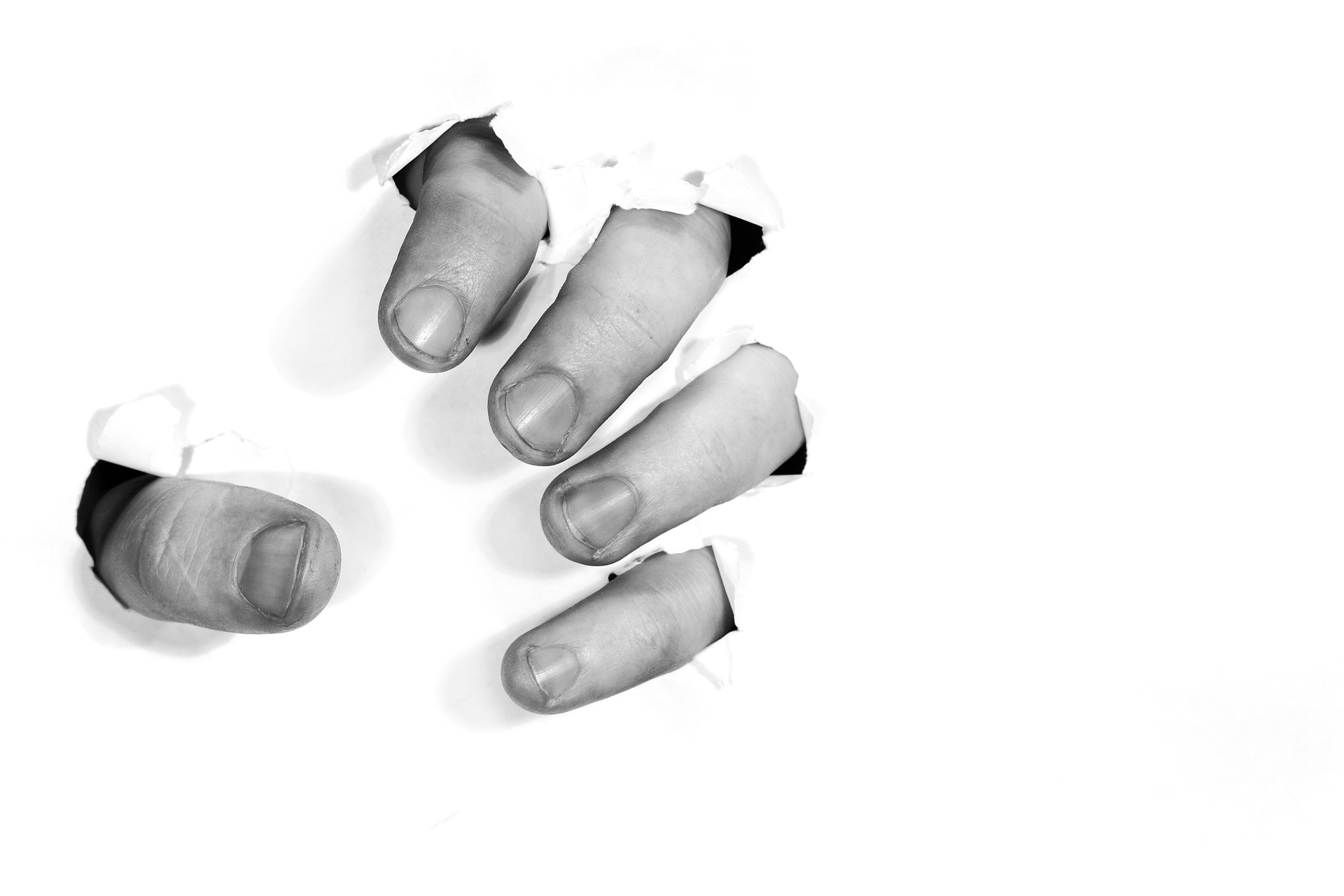 У верблюда два горба, потому что жизнь - борьба...