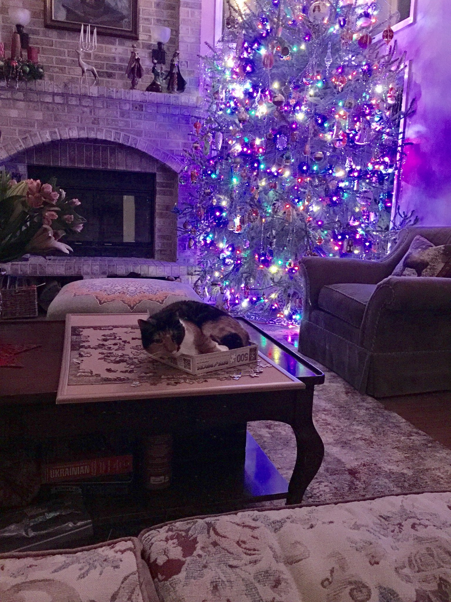 В попытке испросить прощение...