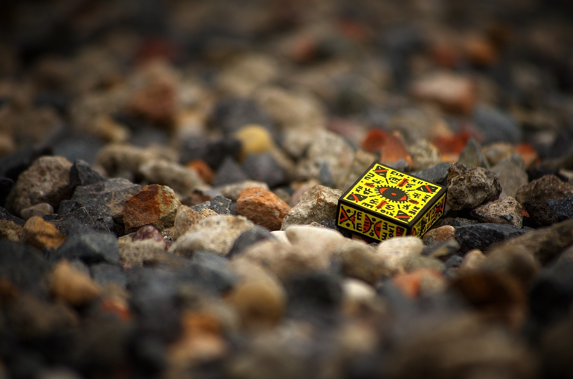 История вашей жизни