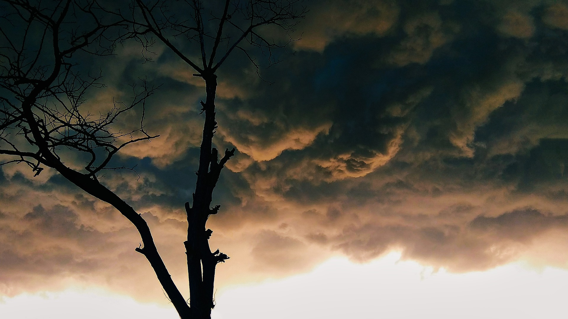 Перед дождём