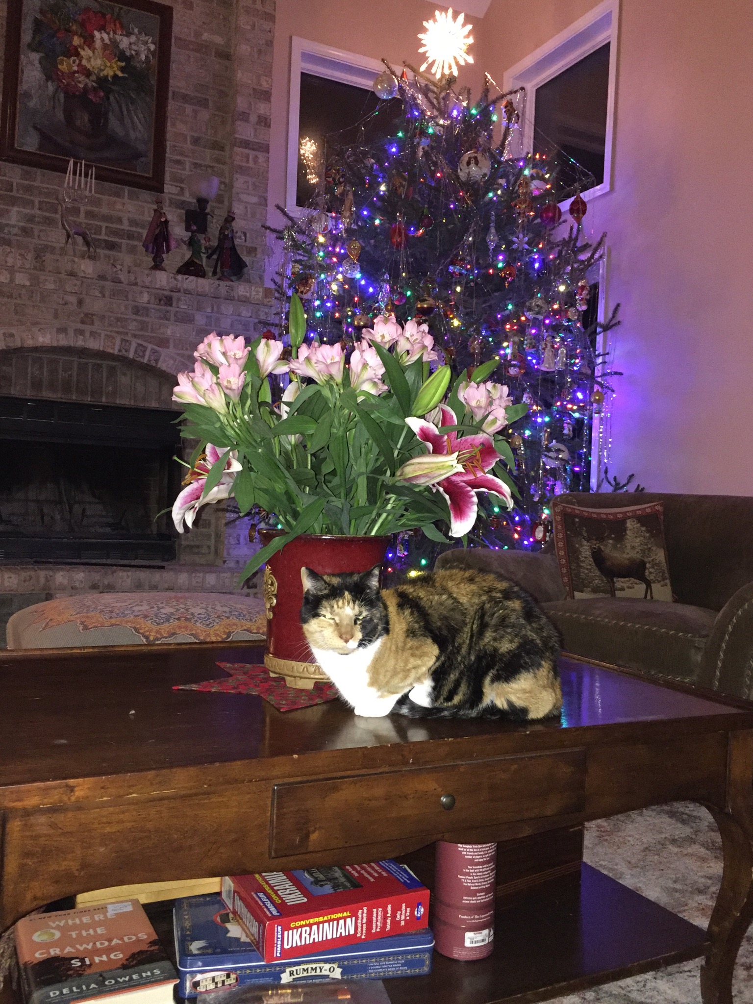 О невыгодном сравнении