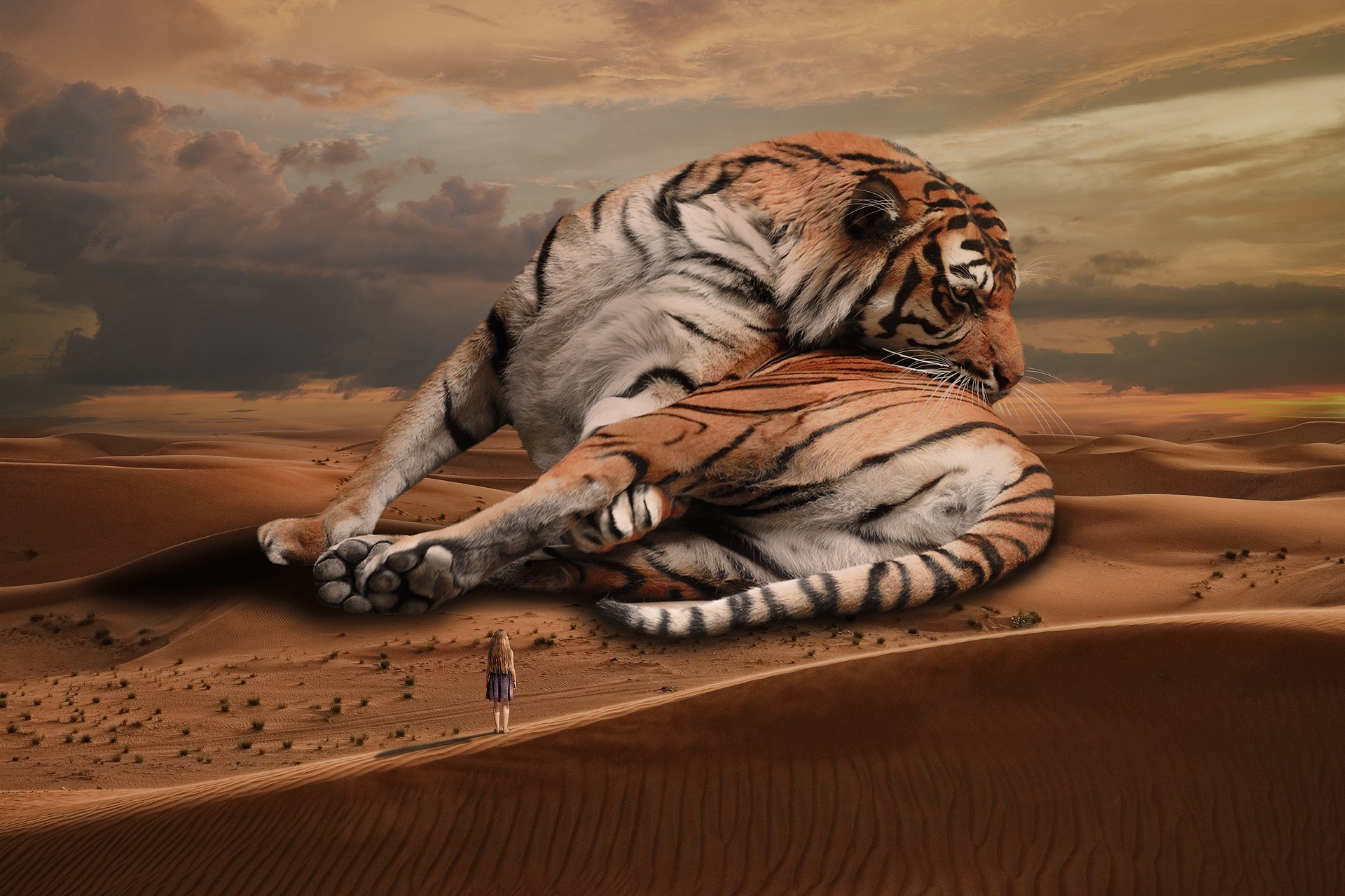 Перед выступлением