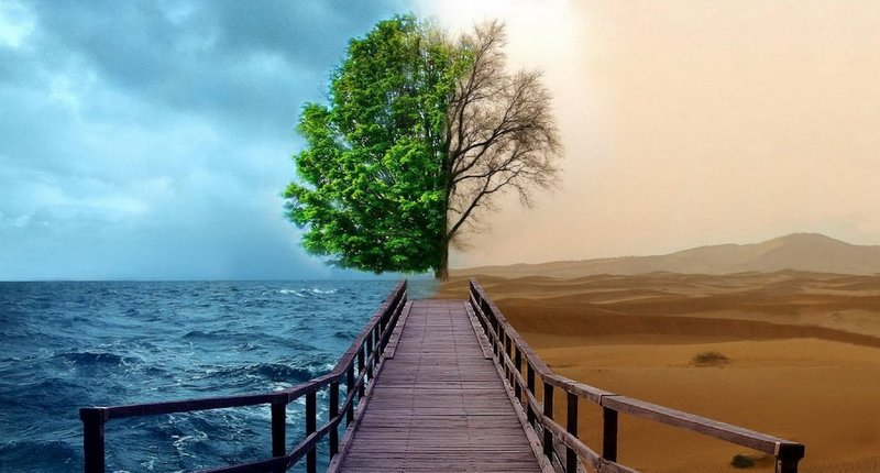 Сколько сказано слов