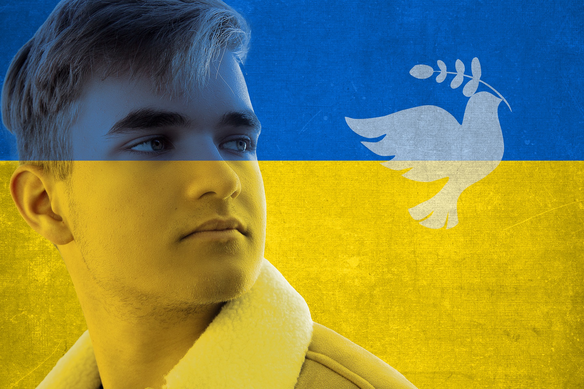 Мы должны...