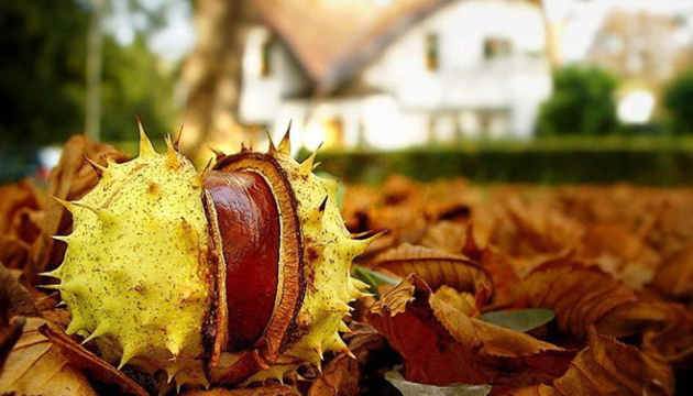 Тихое осеннее настроение