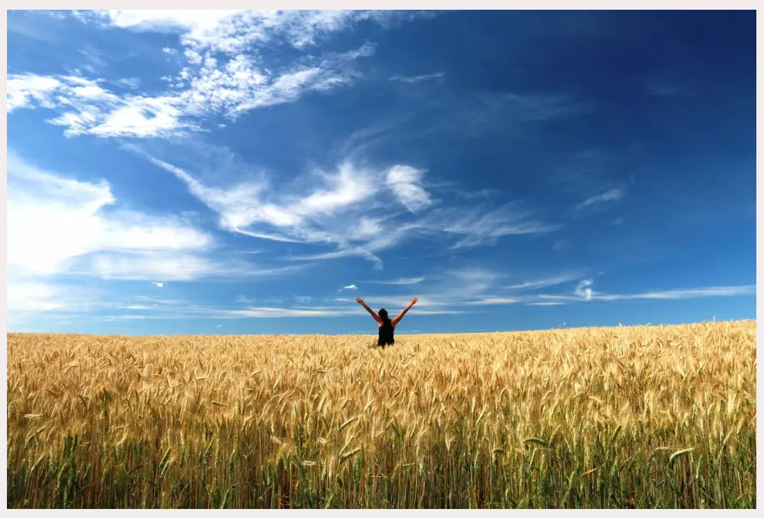 Праздник дня Благодарения