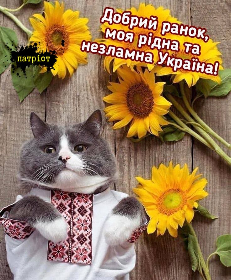 Режимы работы совести