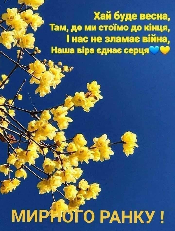 Право выбора